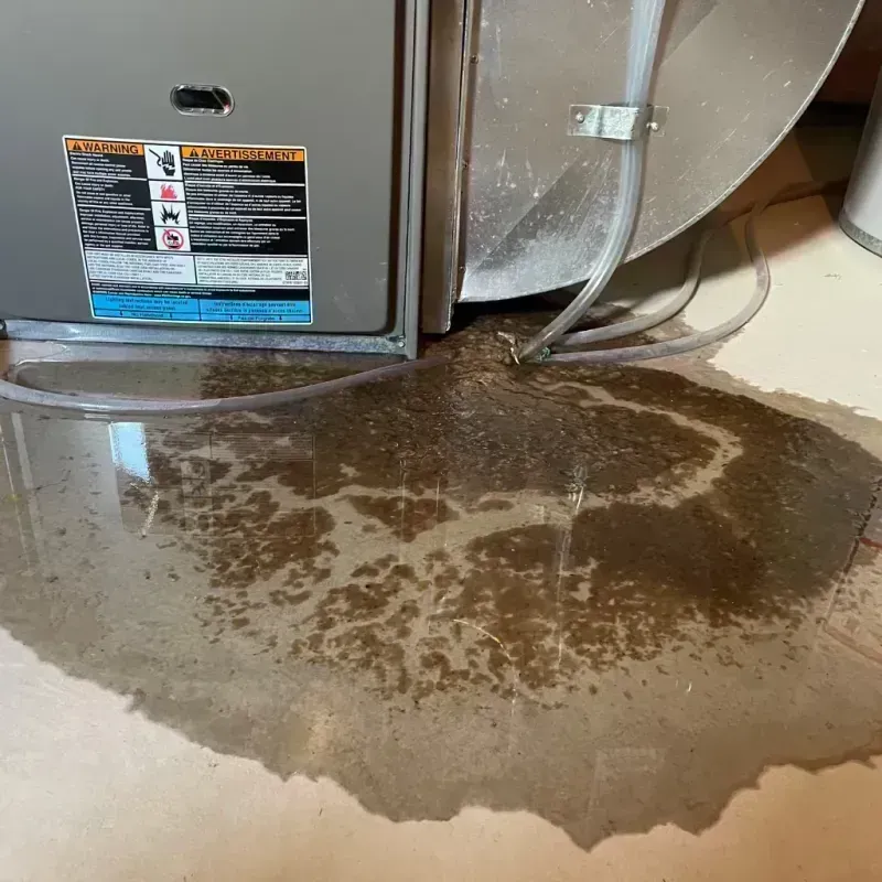 Appliance Leak Cleanup in Pueblo West, CO